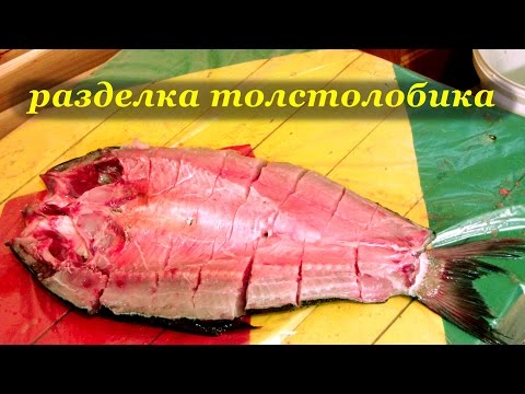 Разделка толстолобика для копчения
