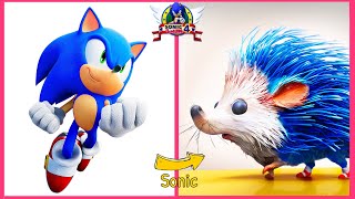 What Will The Real Life SONIC BOOM Character 2023 Look Like 💥 Part 1 👉 HANA Life