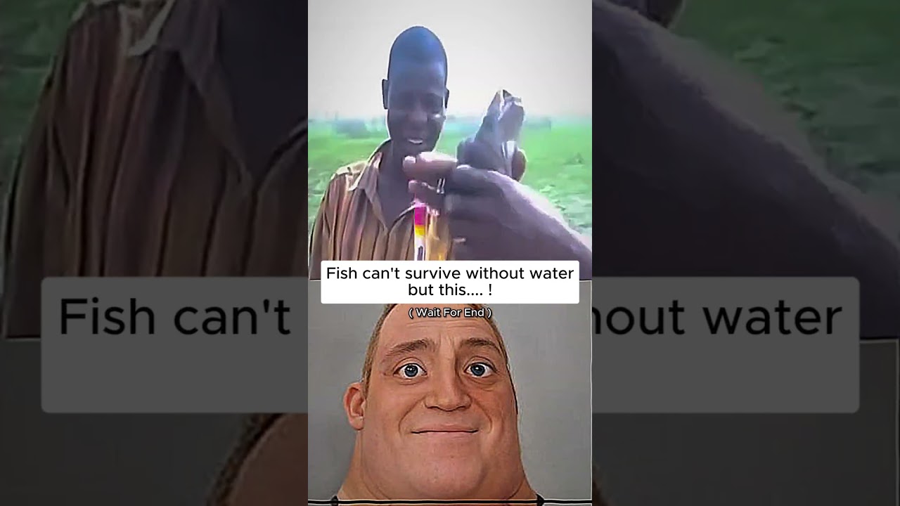 Он выдерживает засуху ГОДАМИ без воды!