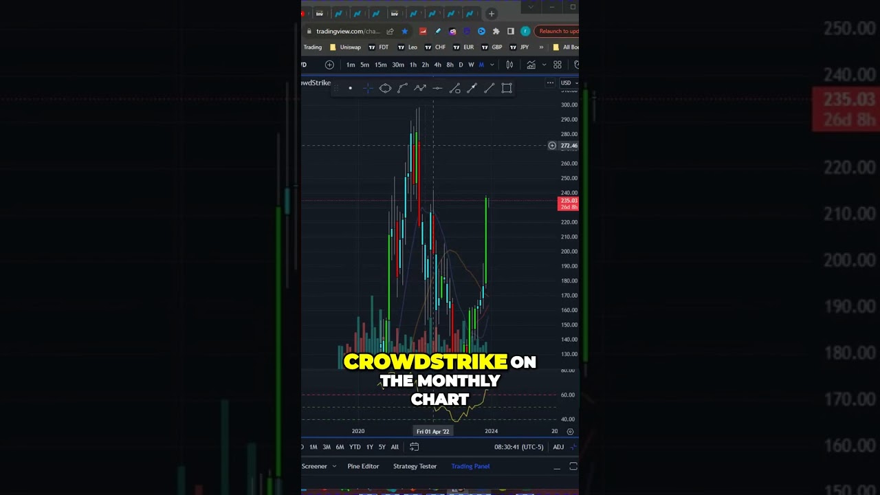 CrowdStrike Stock Analysis: Will Q3 Results Trigger a Price Surge? 