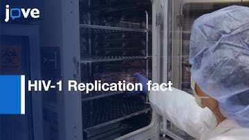 Immunoprecipitation and MS for Identifying HIV-1 Replication factors | Protocol Preview