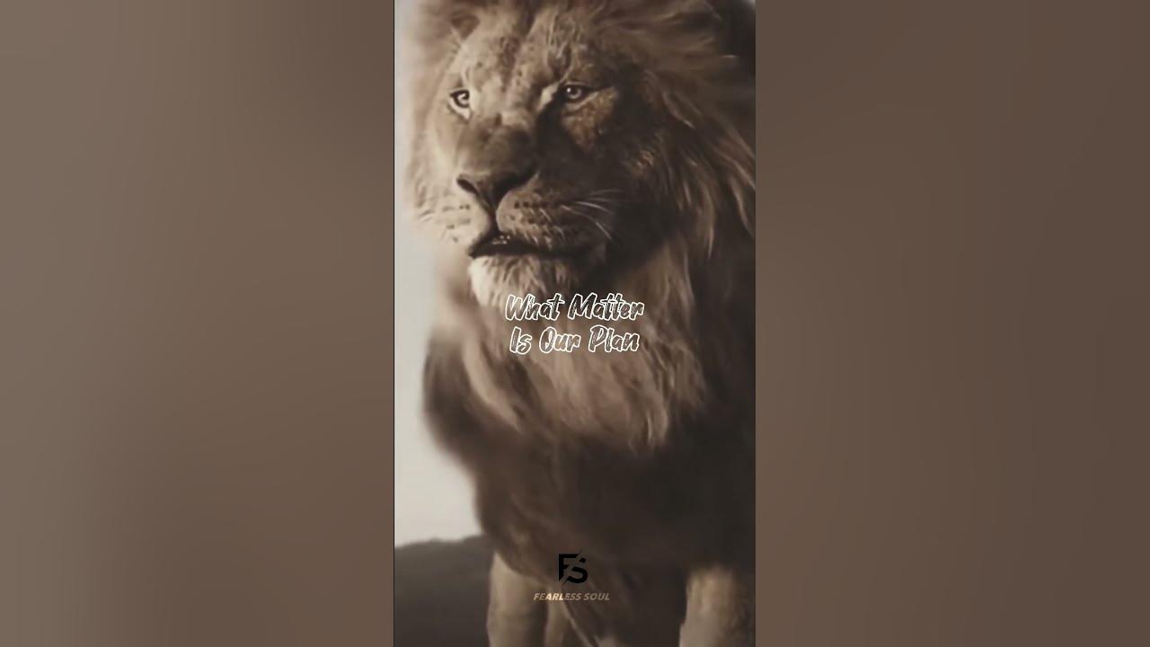#attitude #success #fearless  #motivation
