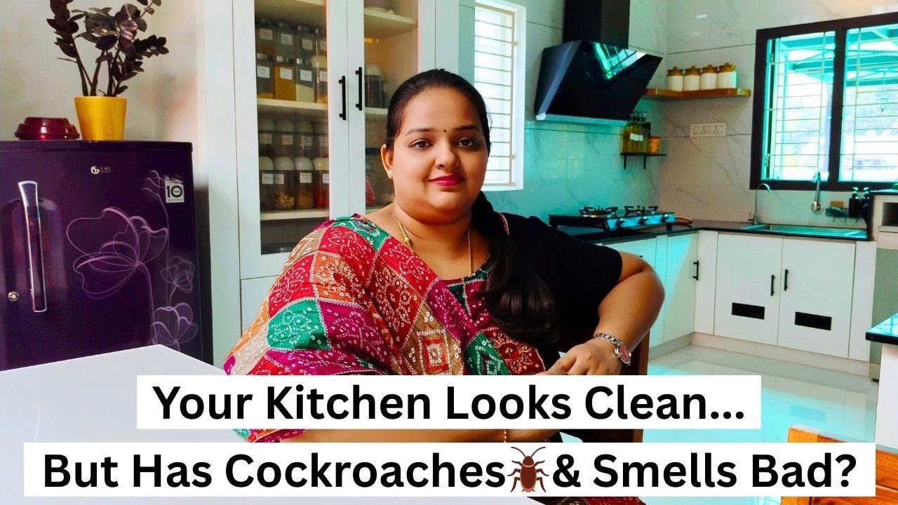 Why Your Kitchen Smells & Attracts Cockroaches & Fruit Flies | 10 Reasons + Easy Fixes