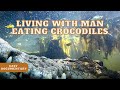 Living with man-eating crocodiles - The nightmare of the Manobos