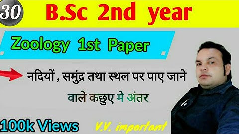 Difference between turtles found in rivers, seas and on land, BSc 2nd year, Zoology 1st paper