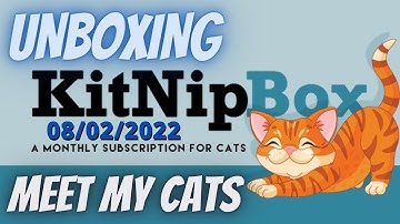 KitNipBox August 2022 Unboxing - Get To Know My Cats