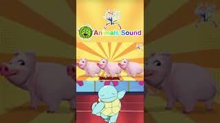 The Animal Sounds Song CYM2 | Can You Make the Sound of These Animals? | Edufam Nursery Rhymes