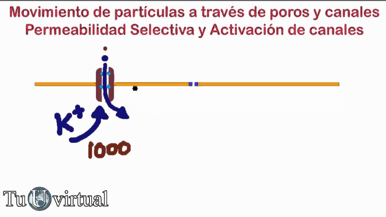Membrana Celular