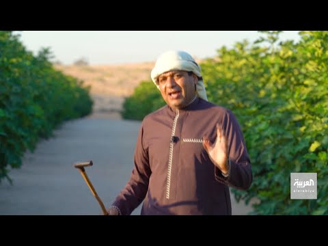 ما معنى اسم شهر آب