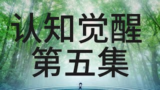 认知觉醒 第5集
