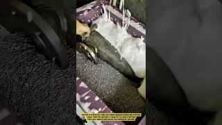 This is the Process of Polishing Stainless Steel Pipes with a Vibration Machine