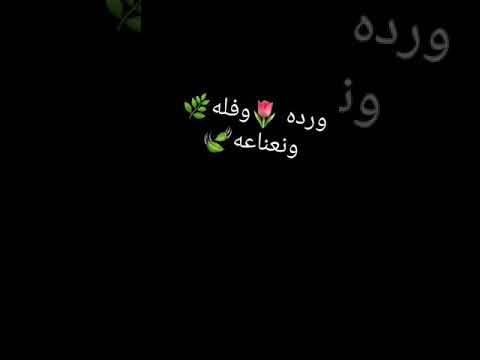 مهرجان ورده وفله ونعناعه