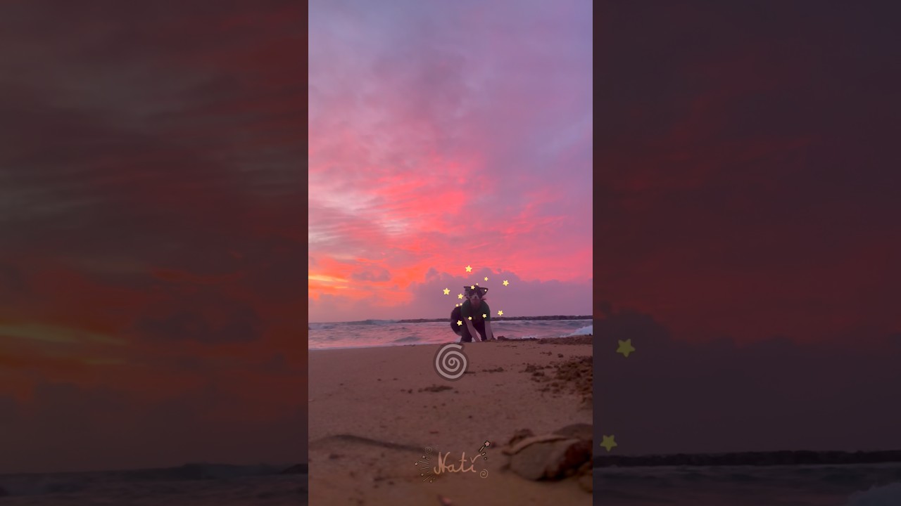 Ах, прекрасное небо... 🌷🐠🪸 