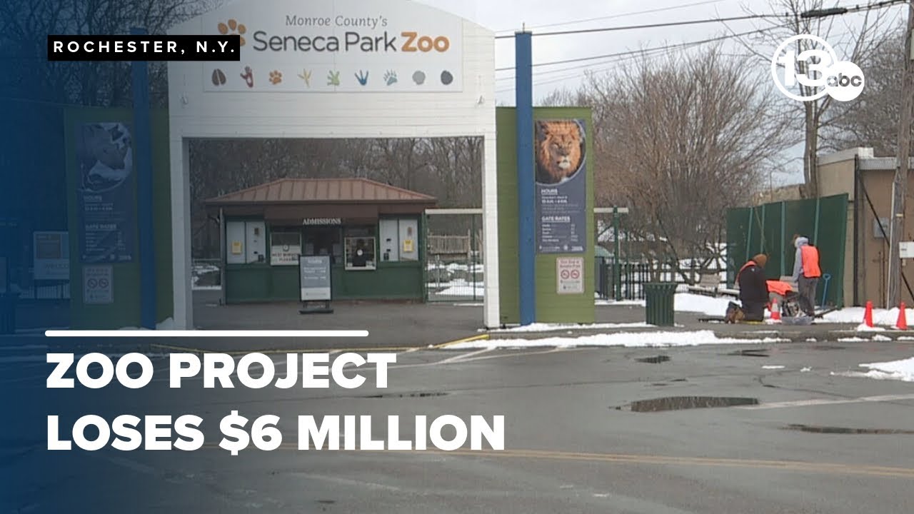 Seneca Park Zoo project faces financial scrutiny over design costs