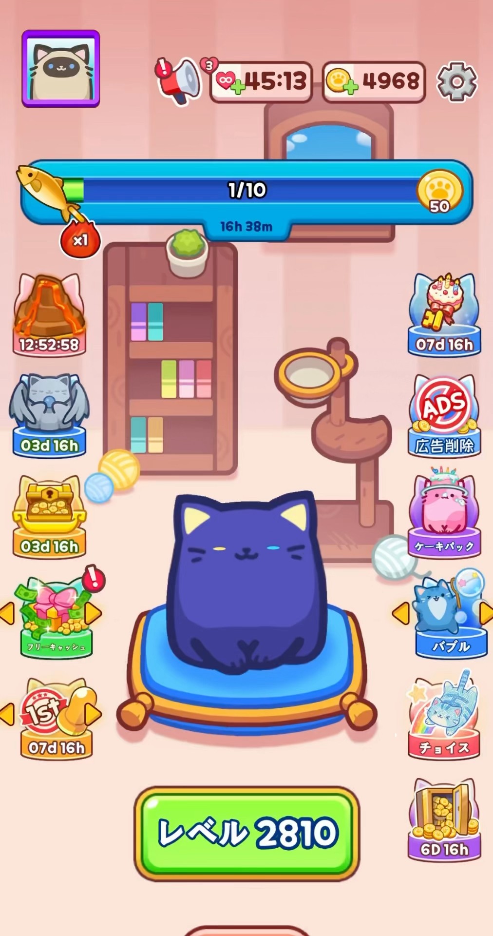 感謝価格(ㅅ´꒳` )ふわり、おやすみ2匹の猫ちゃん YouTube