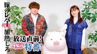 TVアニメ『豚のレバーは加熱しろ』放送直前！ブヒッと特番！ #松岡禎丞 #楠木ともり