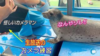 【アザラシ】外より飼育舎の中の方が練習が必要??(´Д｀)　（伊勢シーパラダイス／水族館）
