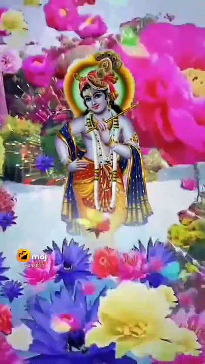 DJ lala Raj UP 66