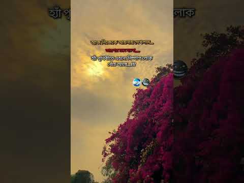 আয়নার সামনে না গেলে ত বুঝতেই পারতাম না 🌚👀