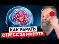 1,5 минуты и стресс уйдёт. Эти точки успокоят нервную систему