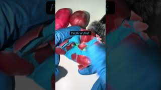 Guess the color slime wax ASMR #slime #slimeasmr #squishy #slimevideo