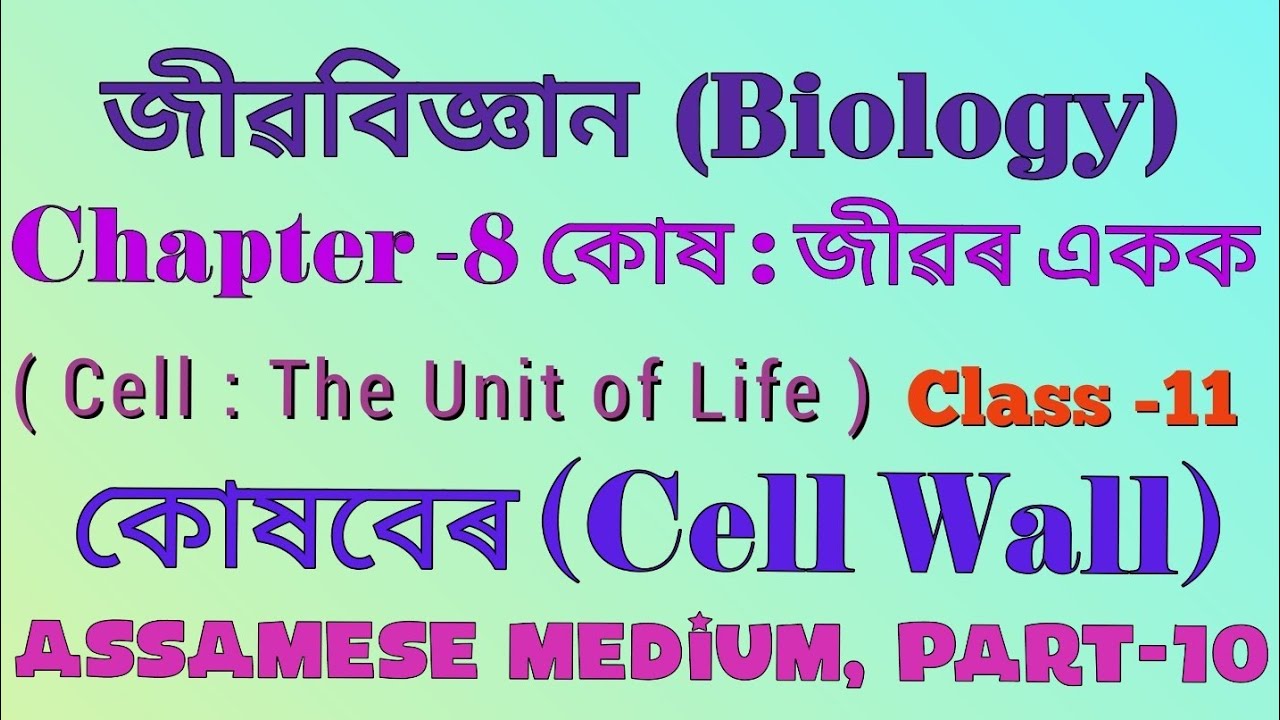 biology-class-11-chapter-8-cell-the-unit-of-life-assamese-medium-cell