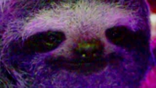 SoaringSloth but your wife