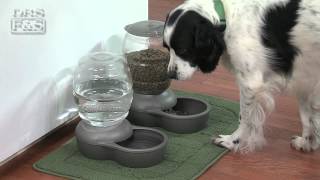 Petmate Replendish Feeders And Waterers Drsfostersmith