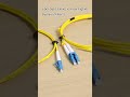 Fiber Optic Cables Vs Fiber Pigtails Shorts Network Homelab mp3