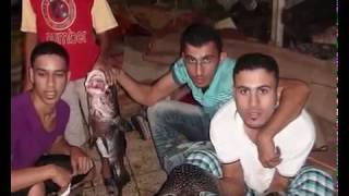 الصيد 3 في 25/1/1433 - محمود الرملاوي