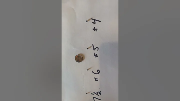 Best shot size for squirrel. Well…