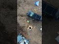 The Crane Brain from a Bird's Eye View