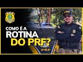 O QUE FAZ UM PRF COMO E A ROTINA E O TRABALHO NA PRF RESPONDI TUDO mp3