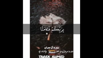 حالات واتس قرانيه قران الكريم القارئ الشيخ عبد الباسط عبد الصمد رحمه الله