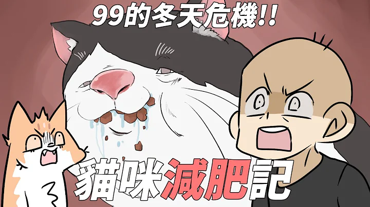 阿啾小劇場-貓咪減肥記！99冬天的危機！ - 天天要聞