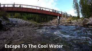 Cool Summer Days Exploring The Whitemud Creek