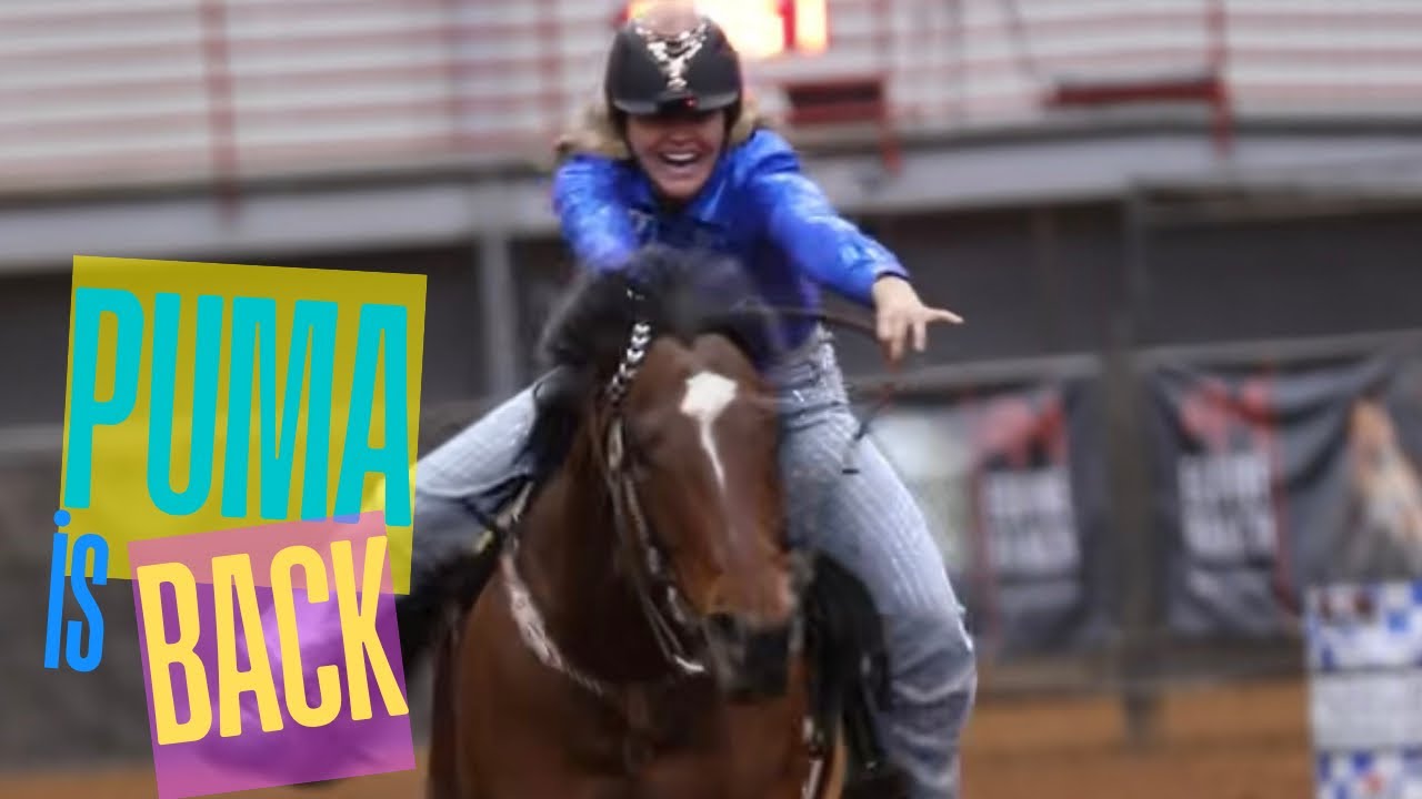 PUMA IS BACK + MORE FOALS!!!