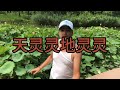 天灵灵地灵灵 天灵灵地灵灵