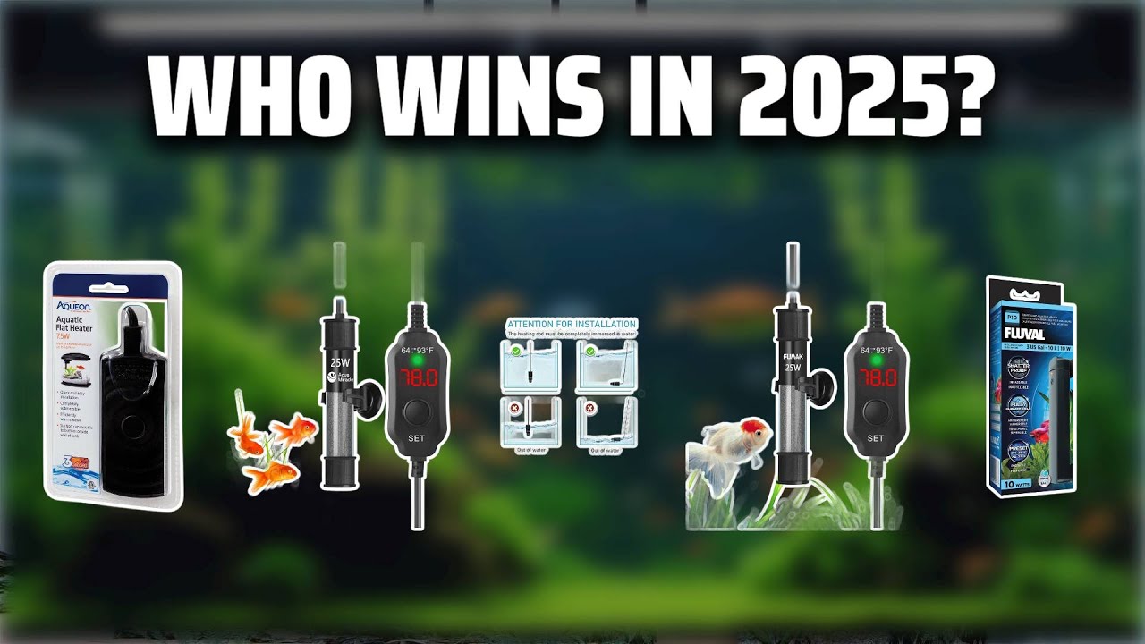 The Top 5 Best 3 Gallon Tank Heater in 2025 - Must Watch Before Buying!