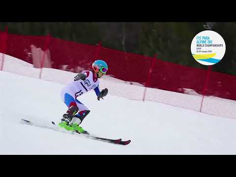 FIS Para Alpine