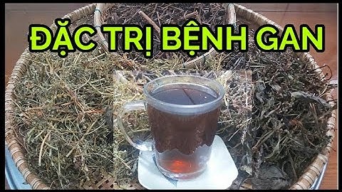Bài Thuốc CÂY CHÓ ĐẺ : TRỊ VIÊM GAN B, MEN GAN CAO, VIÊM GAN VIRUT, XƠ GAN, K GAN, GAN NHIỄM MỠ.