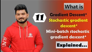 Gradient Descent - Stochastic Gradient Descent - Minibatch Stochastic Gradient Descent - Explained