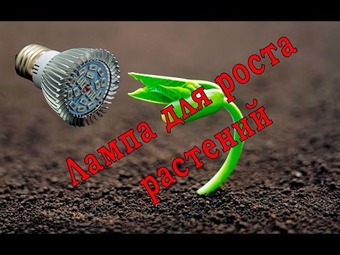 Ультрафиолетовая лампа для роста растений с ALIEXPRESS!