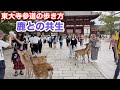 東大寺参道の歩き方