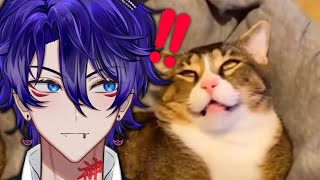 VTUBER RiiKami reacts to UNUSUAL MEMES