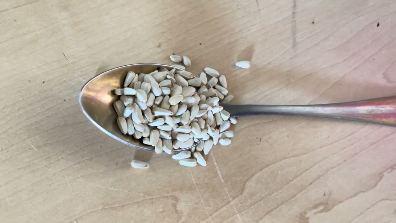 РАССТОЯНИЕ ПОСАДКИ СЕМЕН САФЛОРА