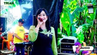 TRIAS MUSIC-KHAYALAN MASA LALU-DEVITRIANA-WEDDING ULUM DENGAN HALIMAH-HD AUDIO