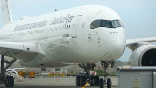 [4K] DELIVERY! | Lufthansa Airbus A350-900XWB (D-AIVD) Albino Livery Parking at Munich Airport!