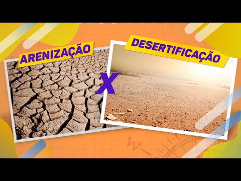 Vídeo: Qual é a diferença entre desmatamento e desertificação?