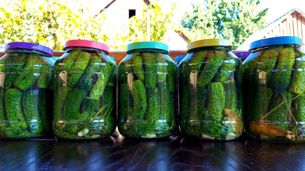 🥒🥒Квашені Огірки на Зиму за Рецептом Мами. Тверді, Хрумкі, Смачні.🥒🥒